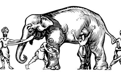 Organisasjonen og elefanten
