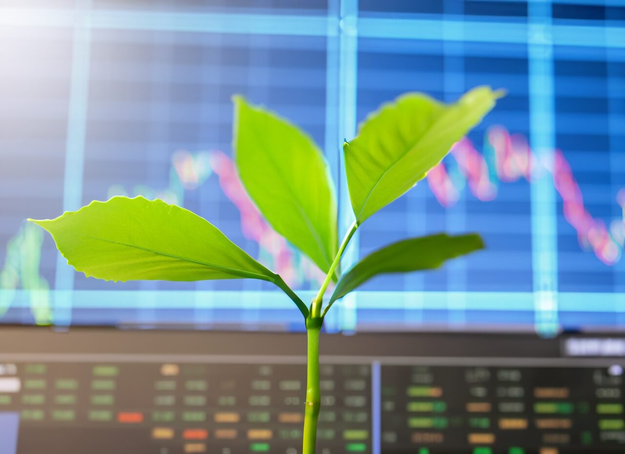 En grønn spire foran en skjerm som viser aksjekurser. Illustrerer ESG i finanssektoren.